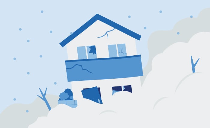 雪崩により建物が破損し家財が被害を受けた